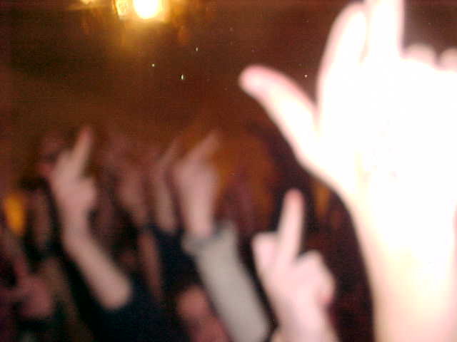 thecrowd.jpg